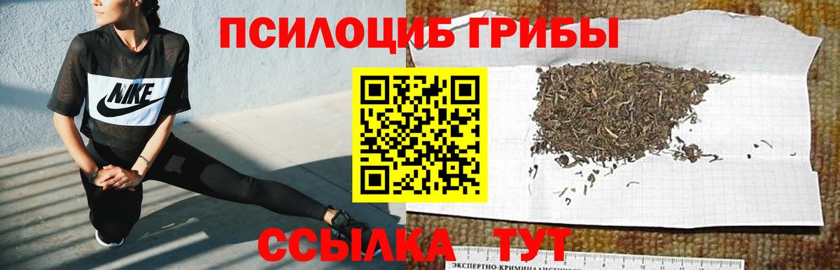 Тула  Псилоцибиновые грибы Psilocybe  Вход с VPN 